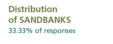 33.33 per cent of responses indicated distribution of sandbanks as a concern