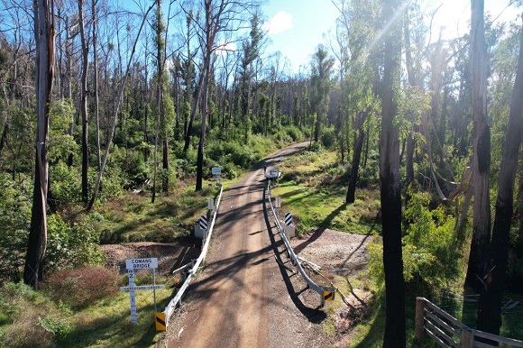  dirt track leads through a forest recovering from fire.