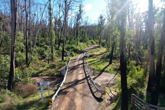 Image  dirt track leads through a forest recovering from fire.