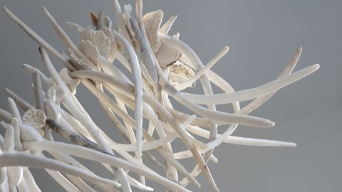 Artwork by Jo Victoria titled hope in the bones