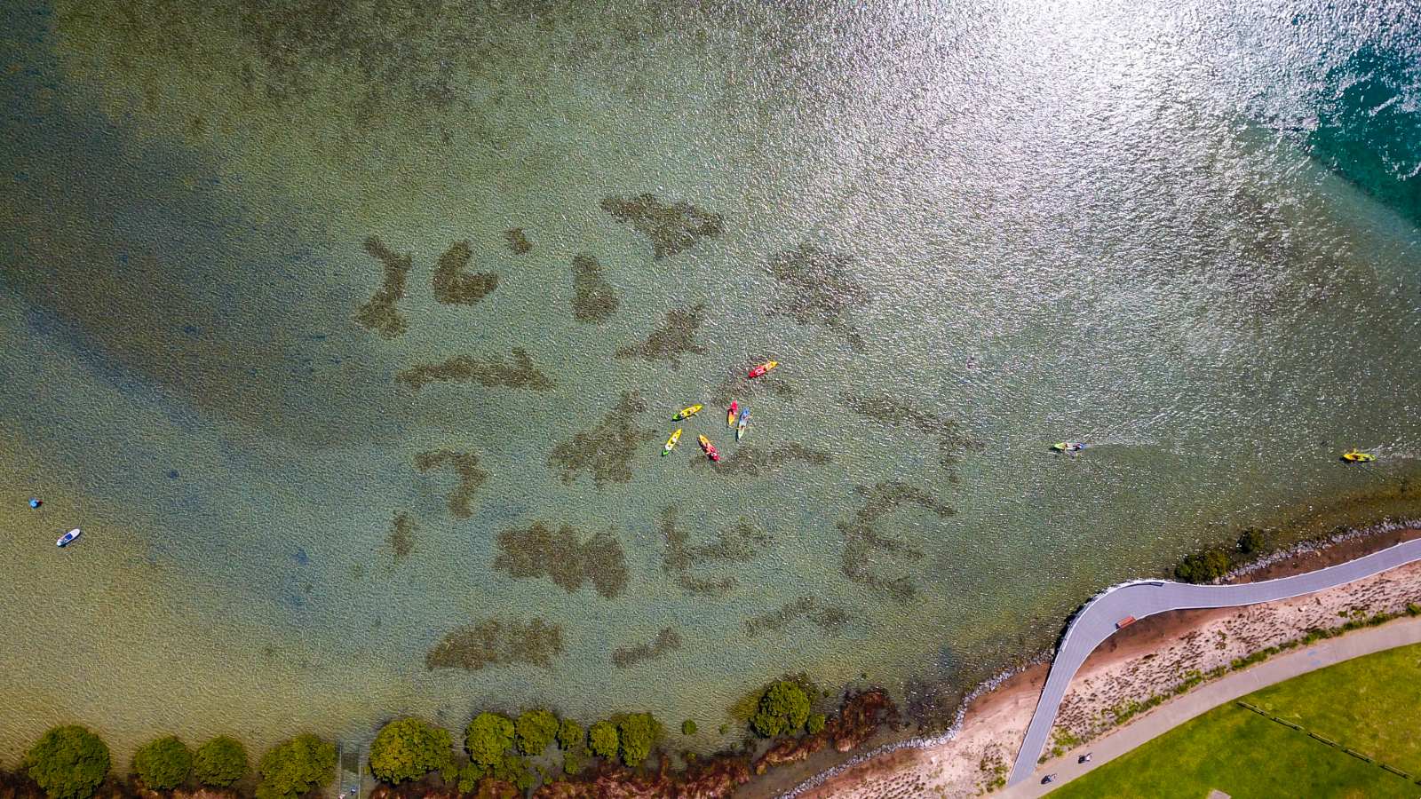 Image Aerial view of Wagonga Inlet and oyster reefs 