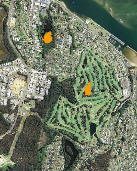 Clock to open a larger image of the map showing the extent of the flying-fox camps in May 2019 at Batemans Bay