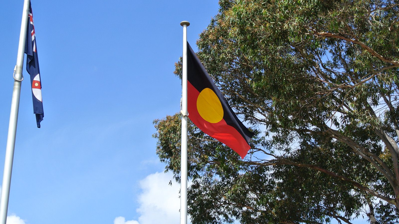 The Aboriginal Flag raised on a flagpole banner image