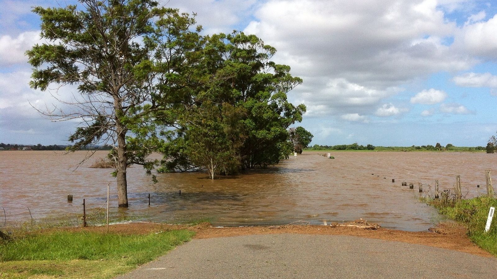 Flooded rural road with a line of trees along the road banner image