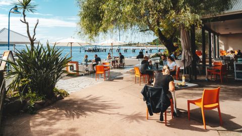 People dining in cafe on the waterfront with overhanging tree