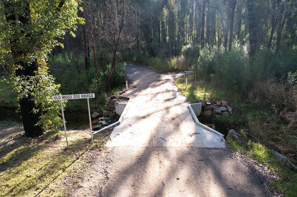 Image A concrete culvert allows a road to cross over a small creek in a forested area.