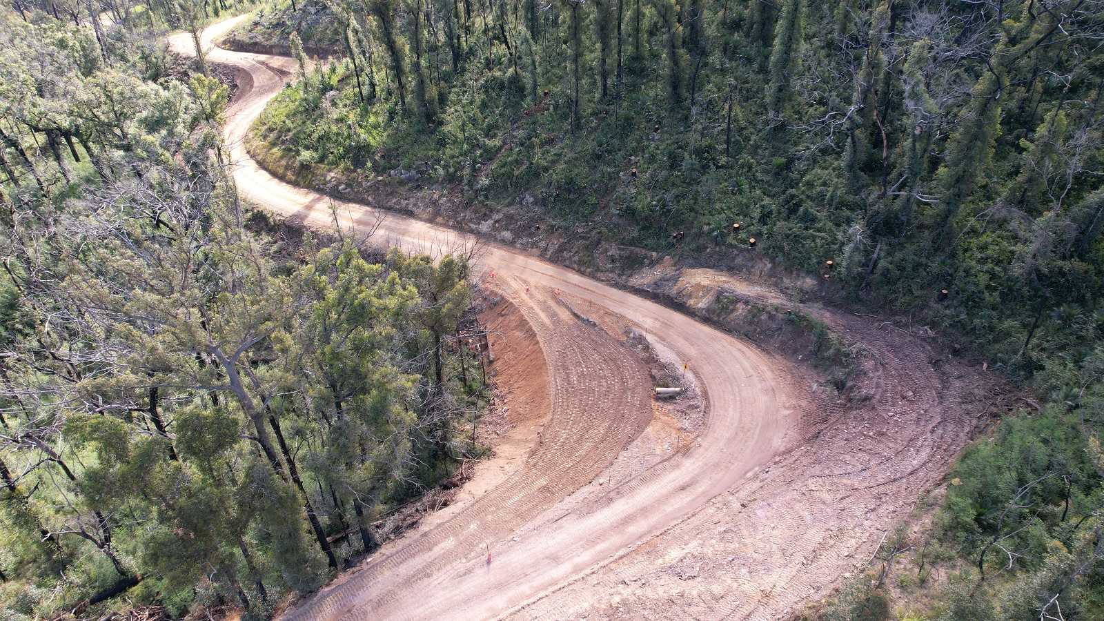 A dirt road winds through recovering forest