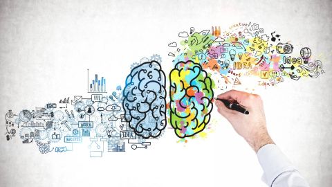 Man's hand drawing colourful brain.