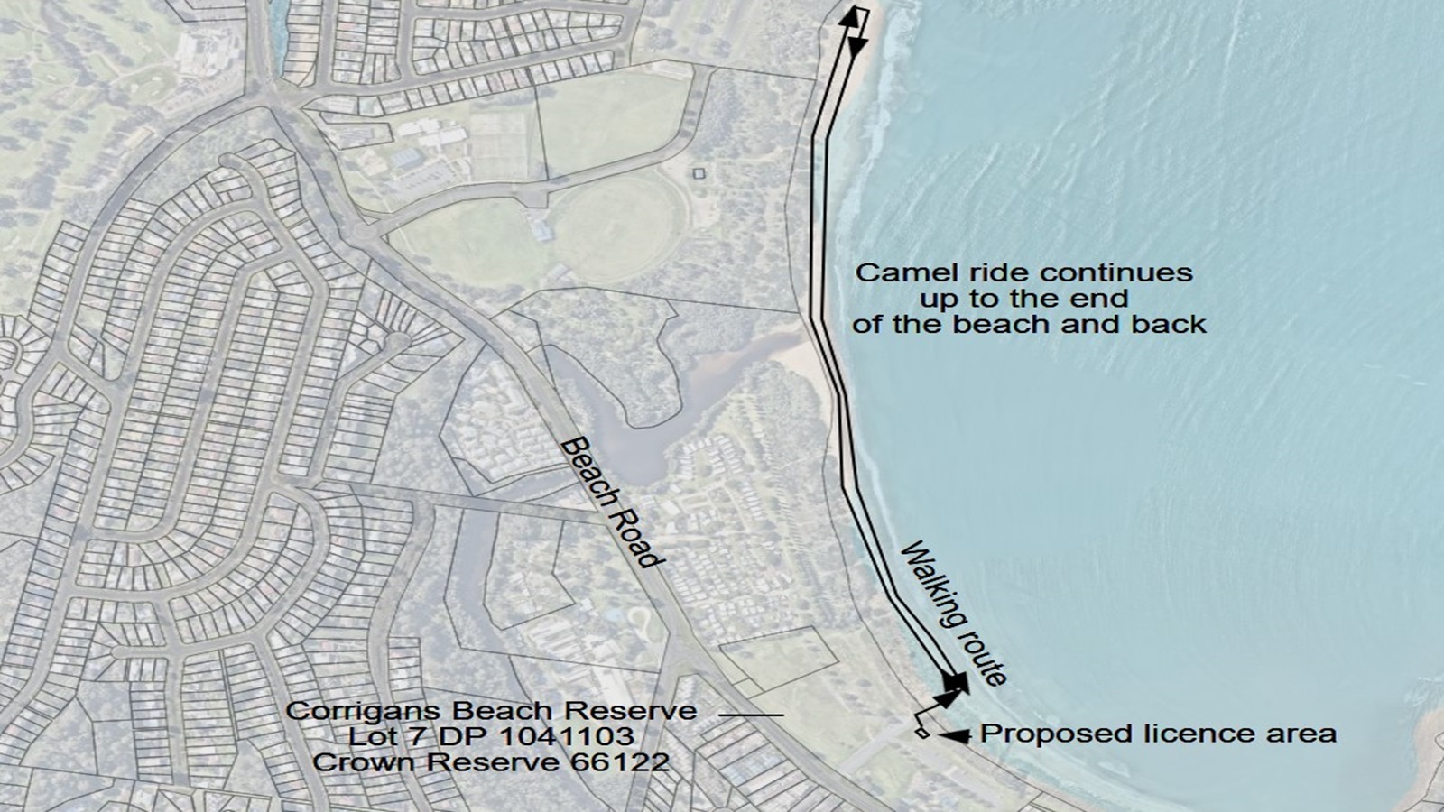 Aerial diagram showing proposed walking routes of camels.