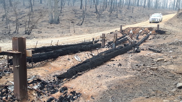 Image The low timber bridge is burnt to the ground leaving large timbers sitting in the dry creek bed surrounded by burnt forest