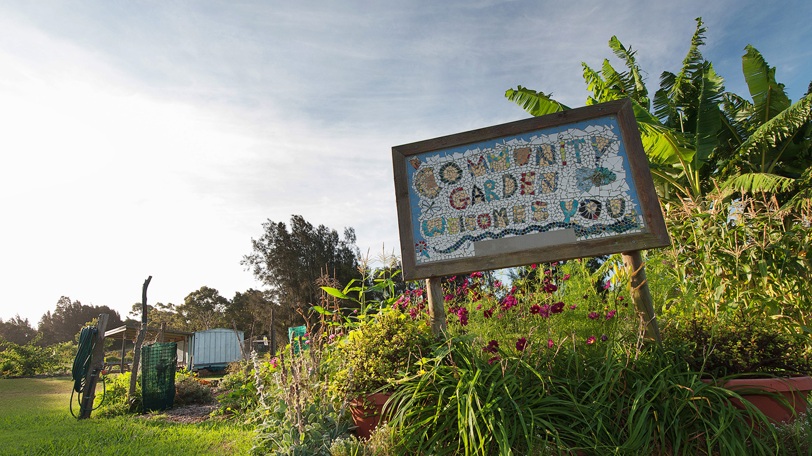 Community gardens