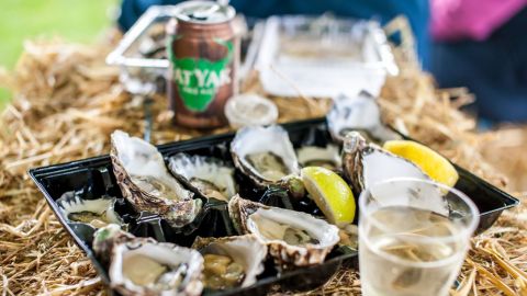 Close up photograph of Batemans Bay oysters with lemon slices