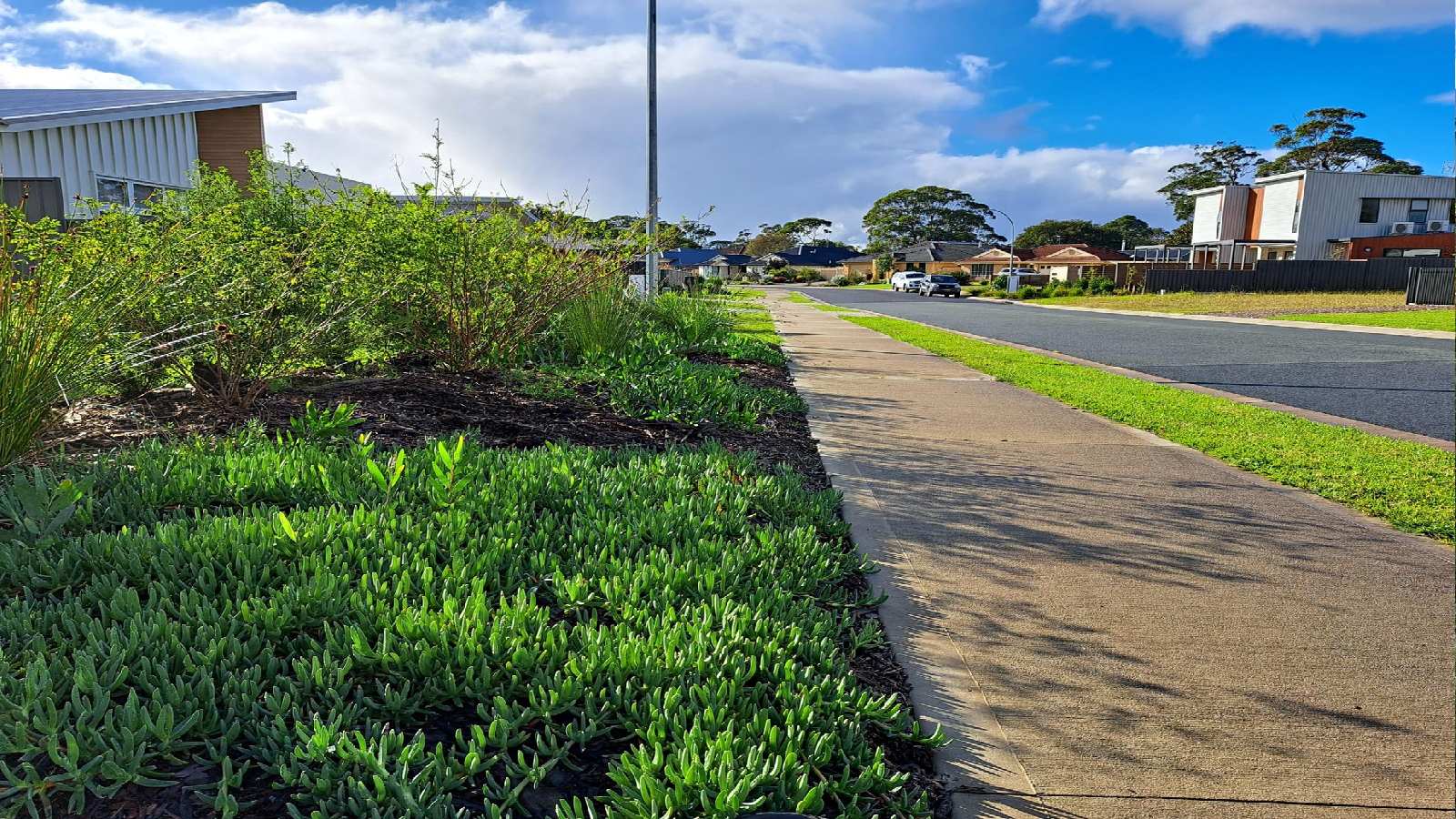 Verge garden 