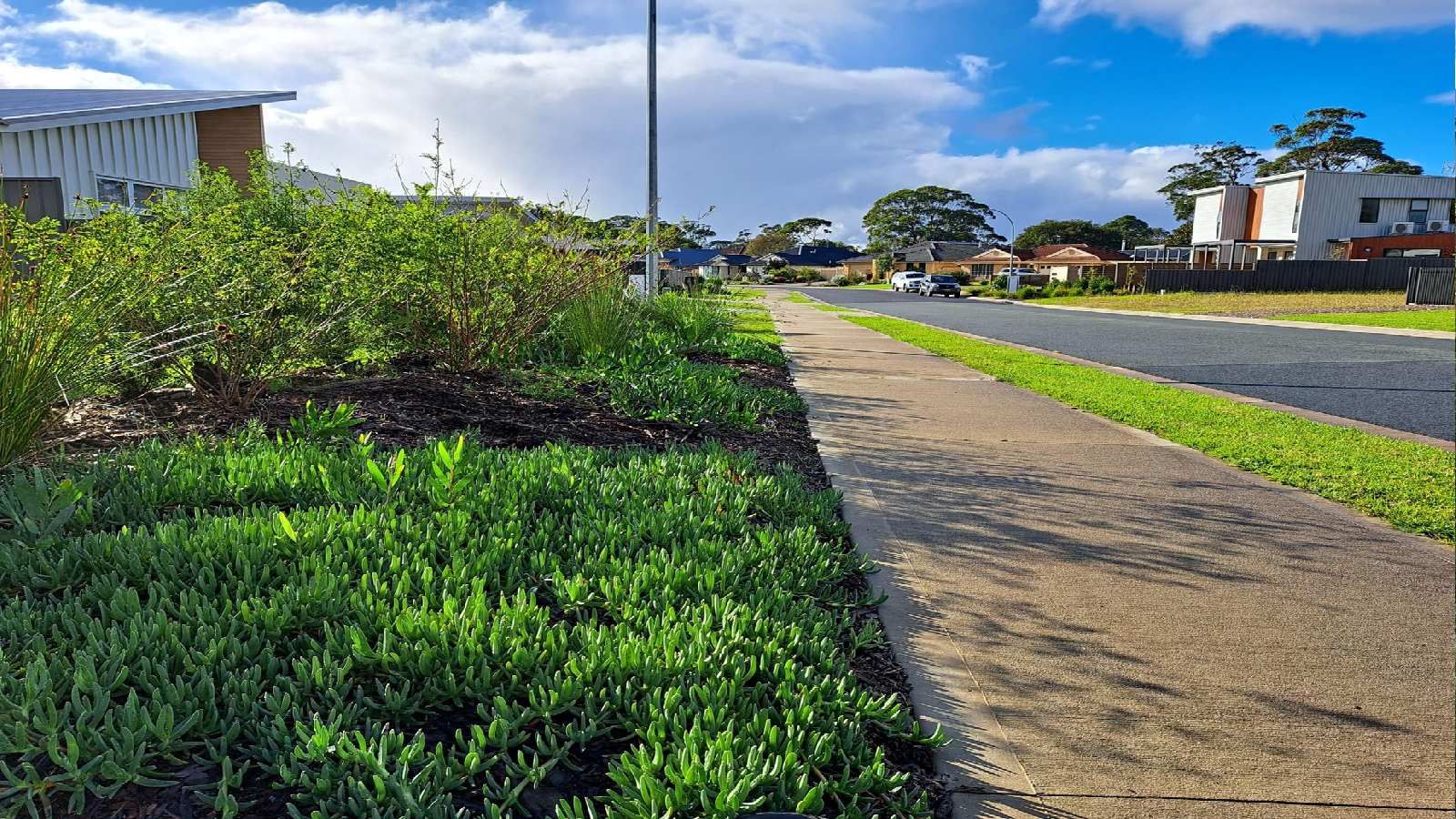 Close-up image of a verge garden parallel to the footpath banner image