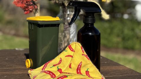Photo of a toy, yellow top recyling bin next to a vase of flowers, a sustainable cleaning cloth and a spray bottle. 