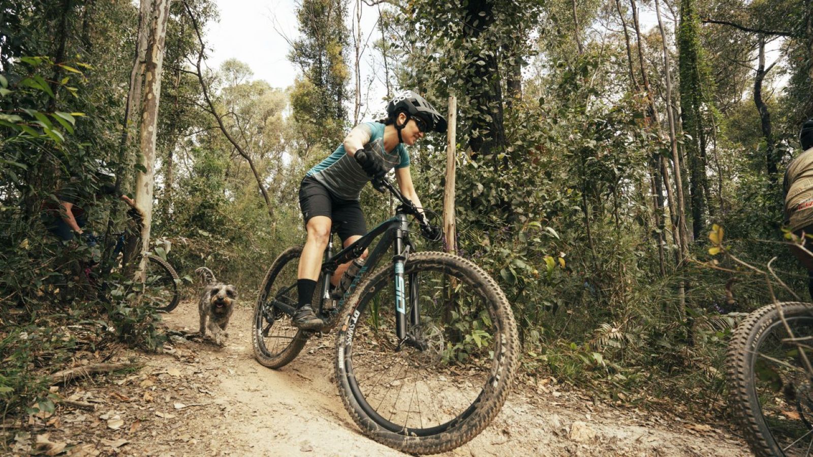 Transport - MTB rider and dog