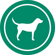 Dogs allowed 24 hour off leash