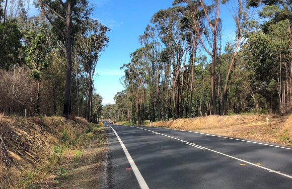 A straight stretch of bitumen road undulates through a forest