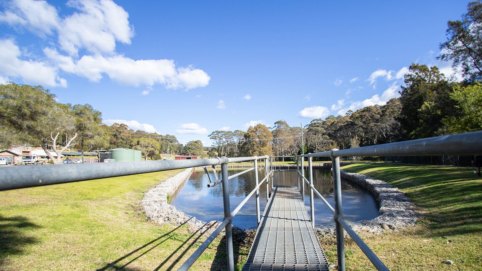 A plank raised across a collection pond at a Eurobodalla Council sewage treatment facility banner image