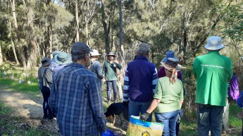 A large group of willing workers are instructed by a lady in green in a forest.