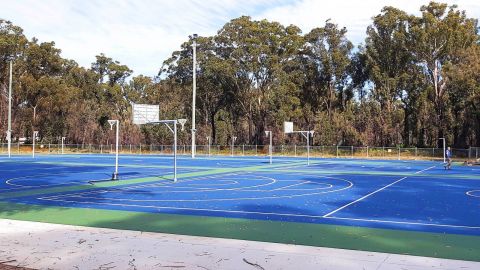 Netball courts