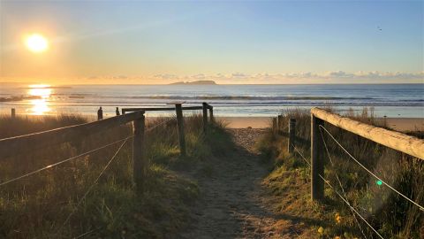 Walkway to beach through dunes