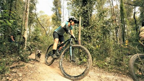 Lady in lycra on mountain bike with dog behind riding down a singletrack