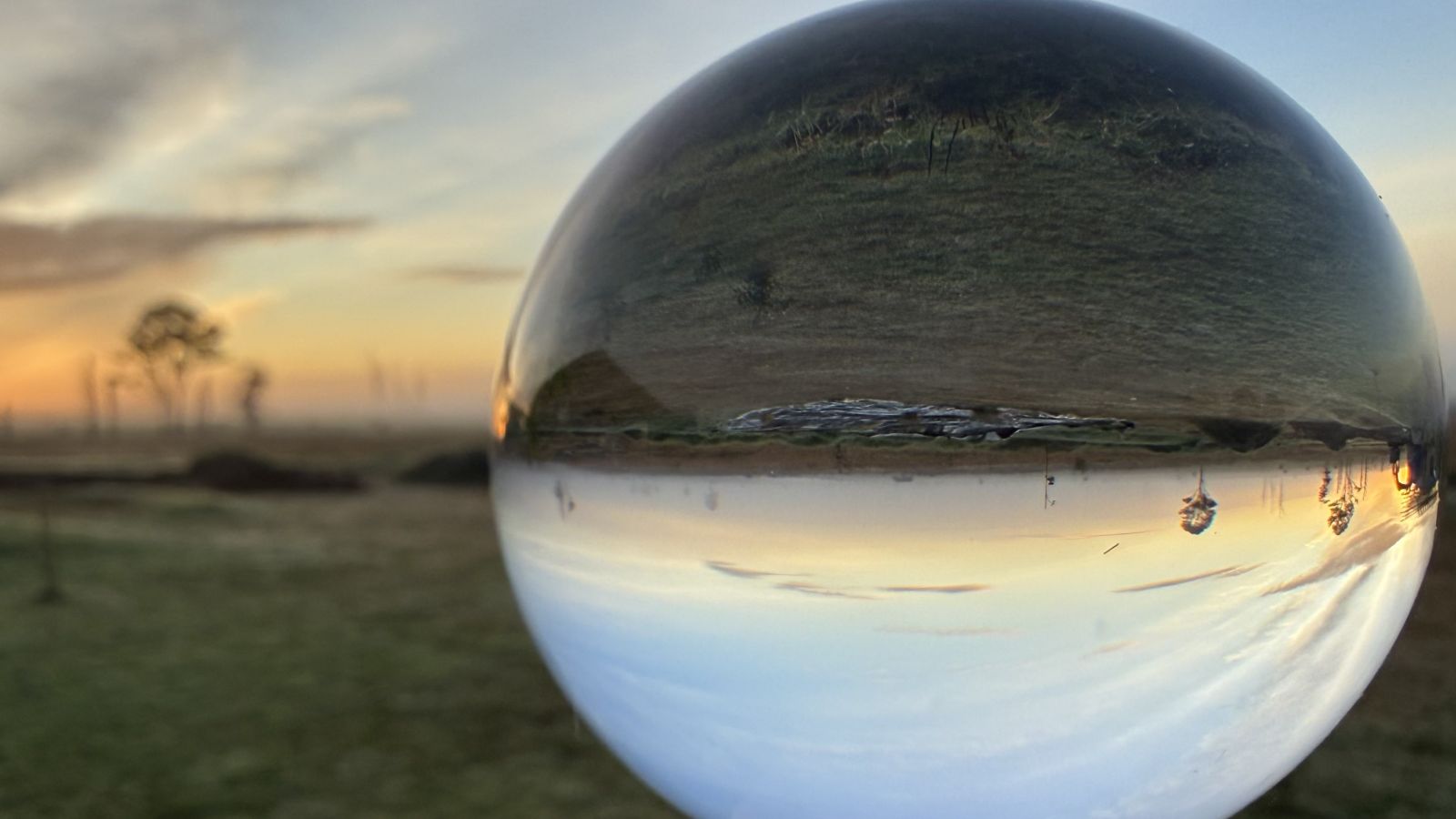 Globe