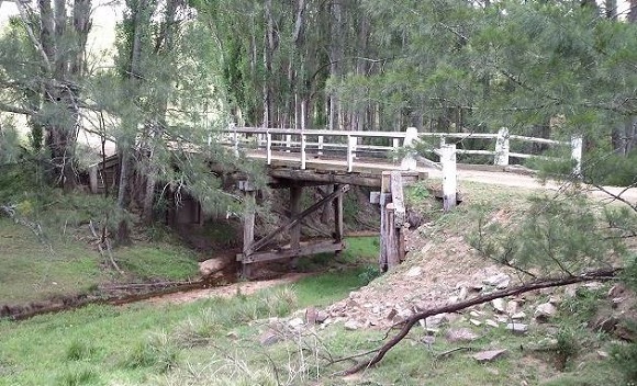 Image The timber bridge sits amid she oak trees