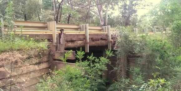 Image The timber bridge sits high above the creek in a lush setting