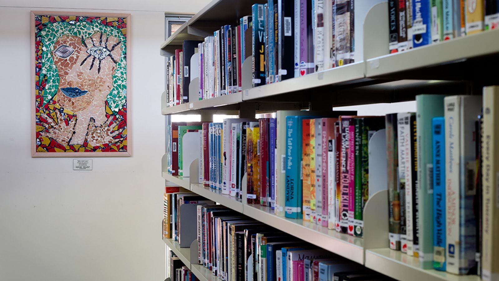 Library shelves with books banner image