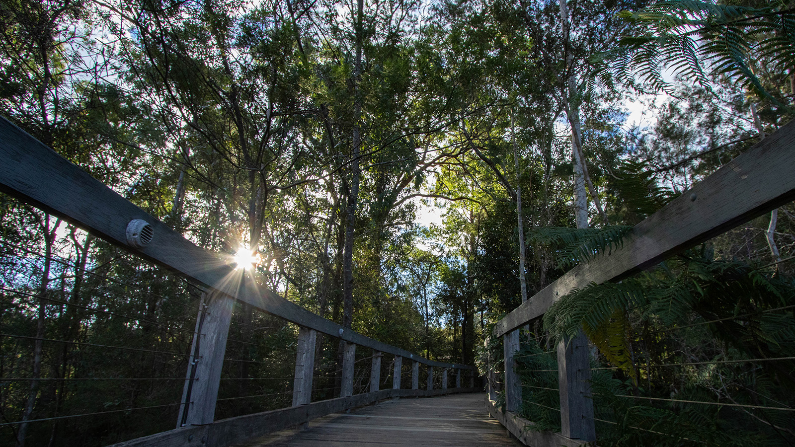 Eurobodalla Regional Botanic Garden