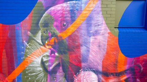 Mural on a wall of a parrot
