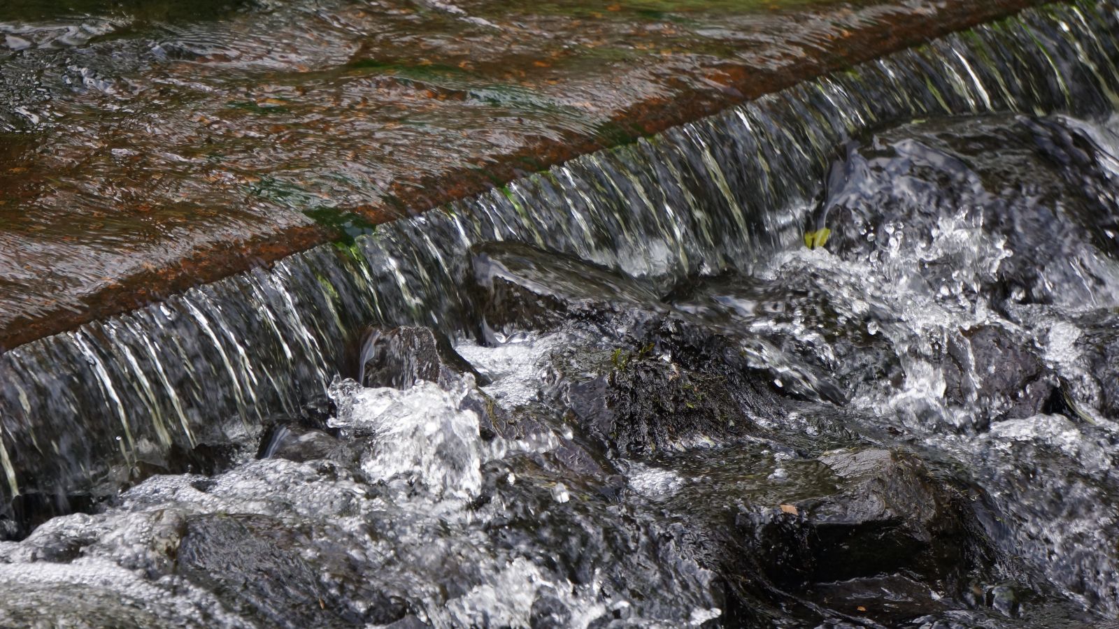 Stormwater runoff pooling banner image