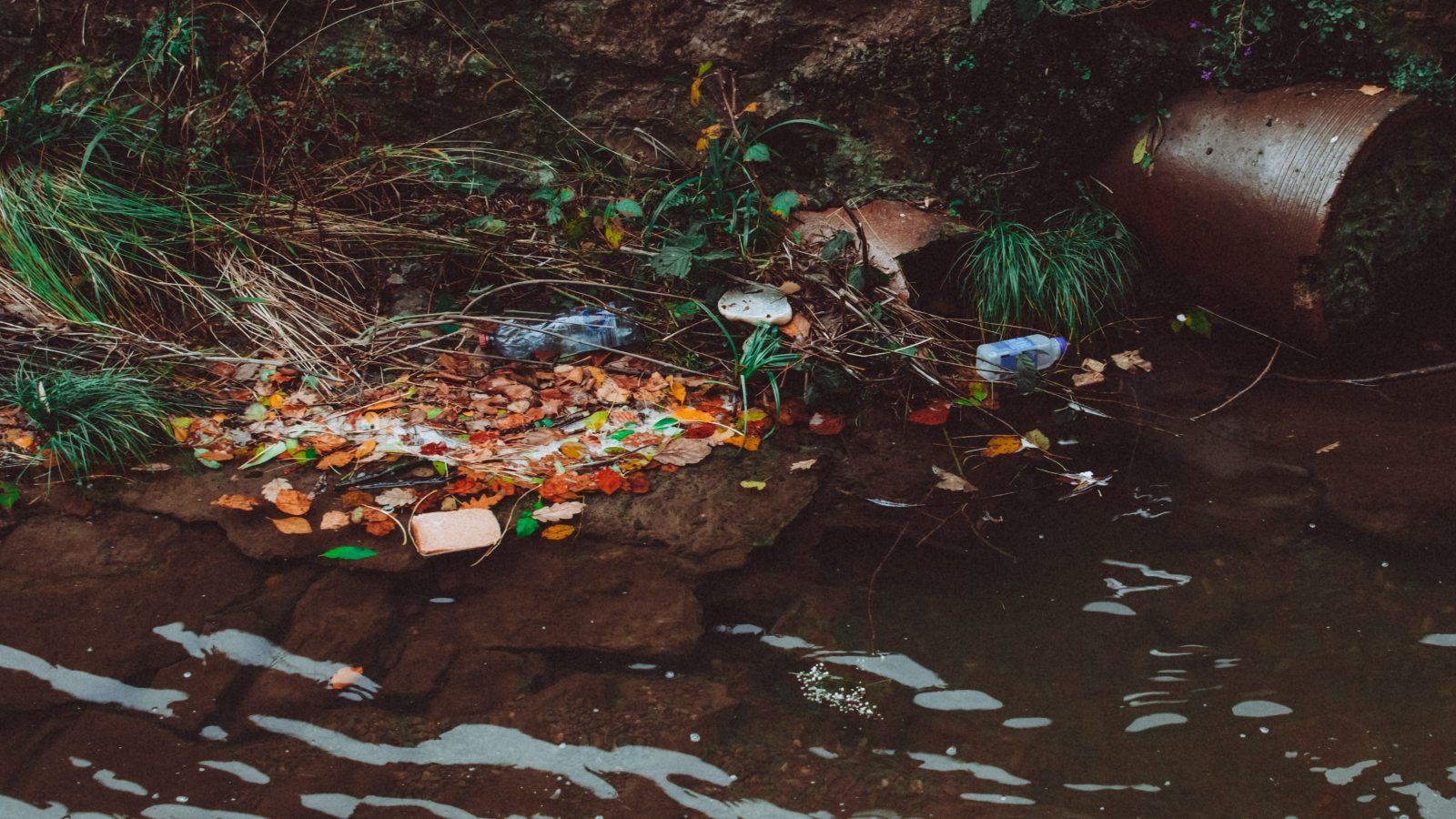 Litter floating in water next to a stormwater pipe banner image