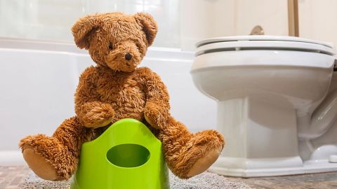 A teddy bear sitting on a plastic green training potty.