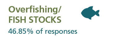 46.85 per cent of responses indicated overfishing or loss of fish stock as a concern