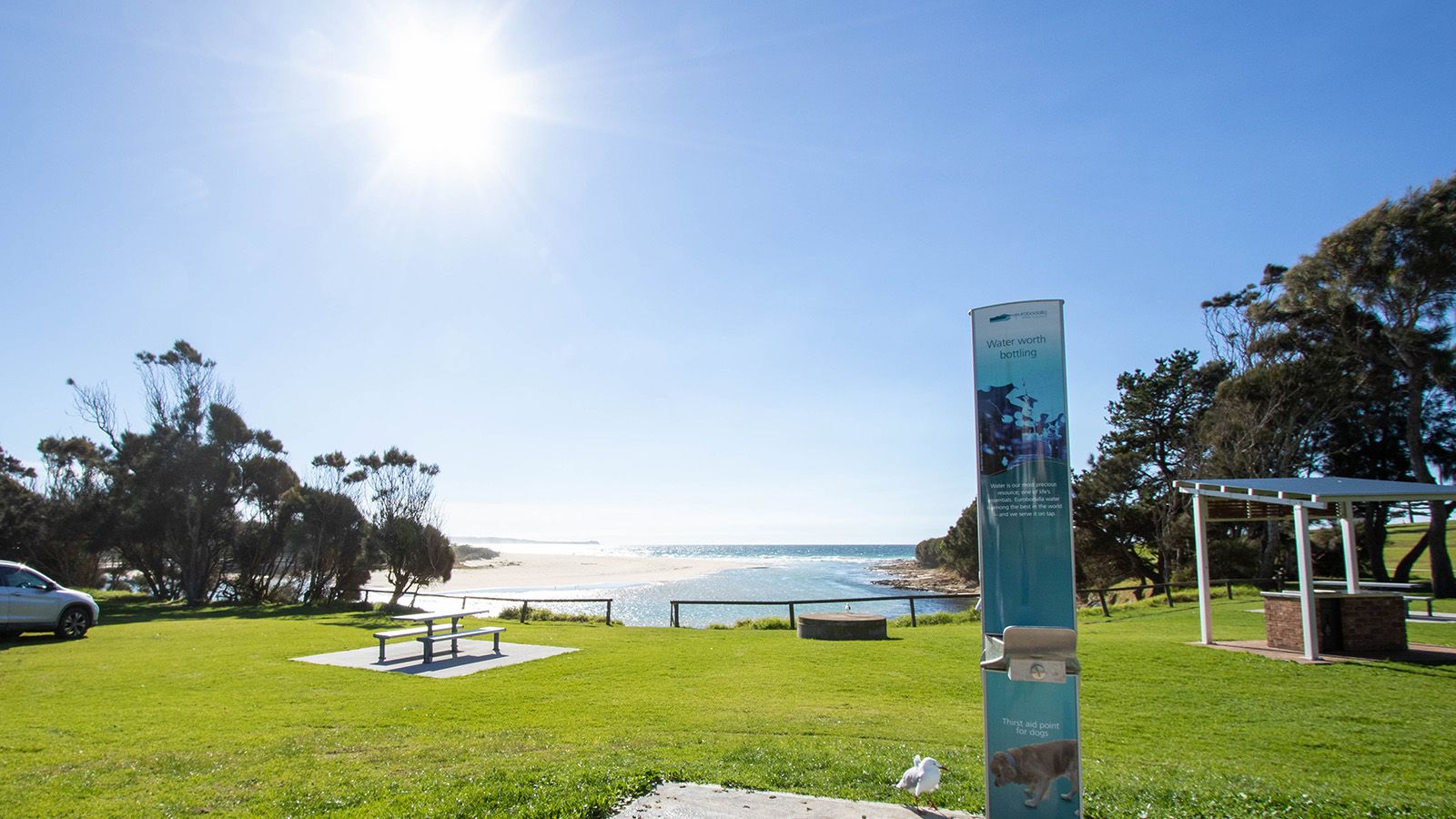 A water bubbler and dog drinking station at a Eurobdoalla park banner image