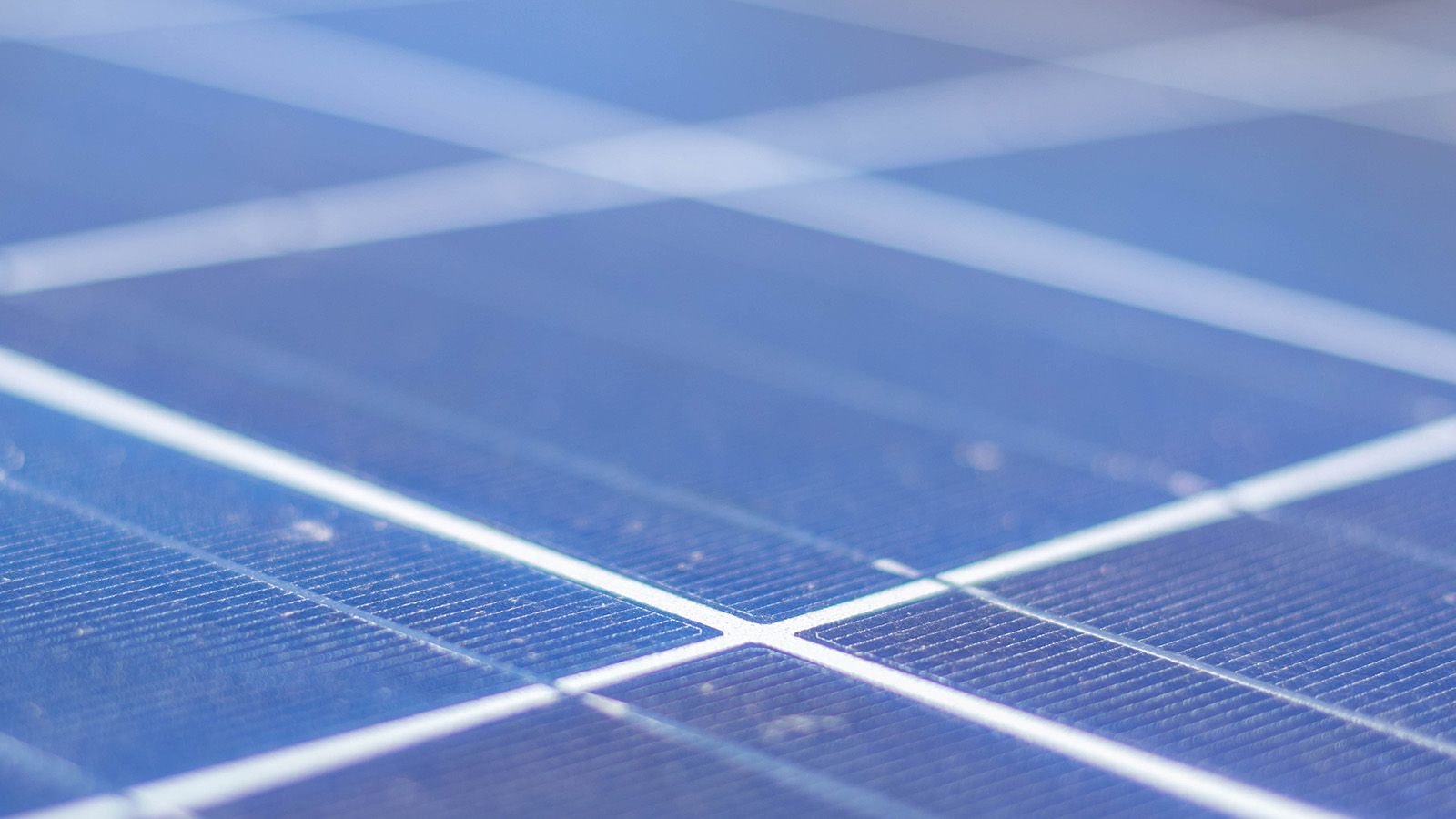 Close cropped photograph of solar panels banner image