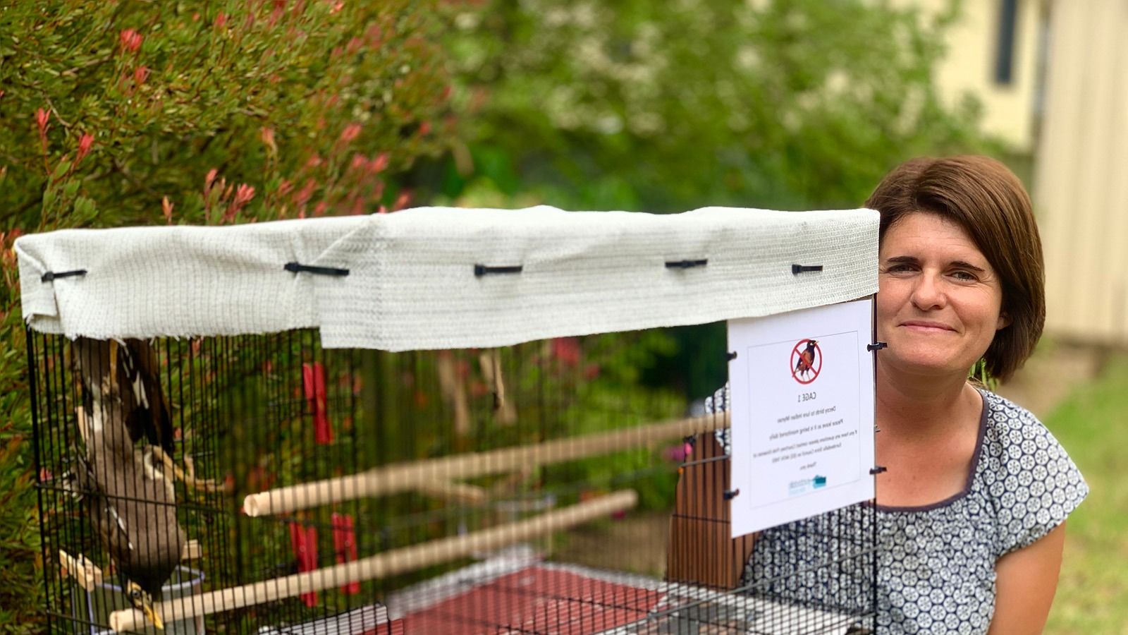 A Council staff member standing next to a cage housing an Indian Myna bird banner image