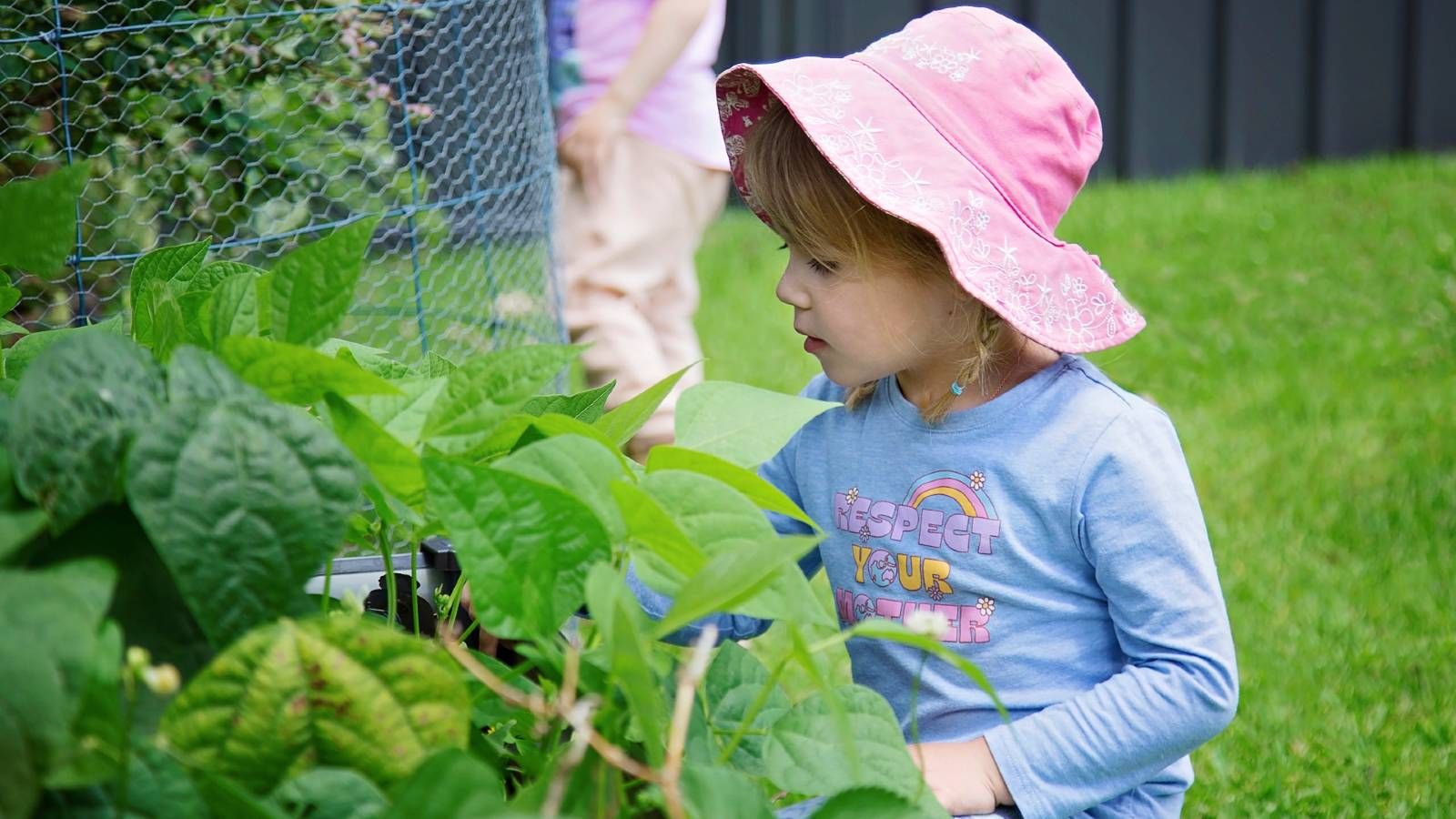 A young child investigating a vegetable garden banner image