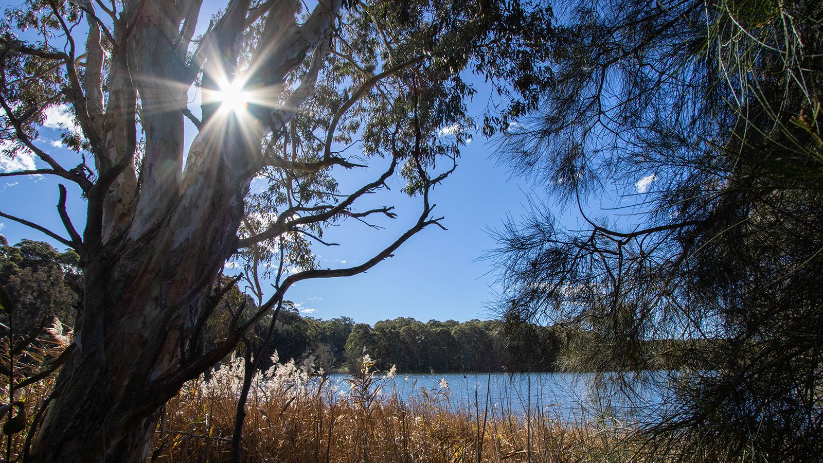 A body of water on a sunny day banner image