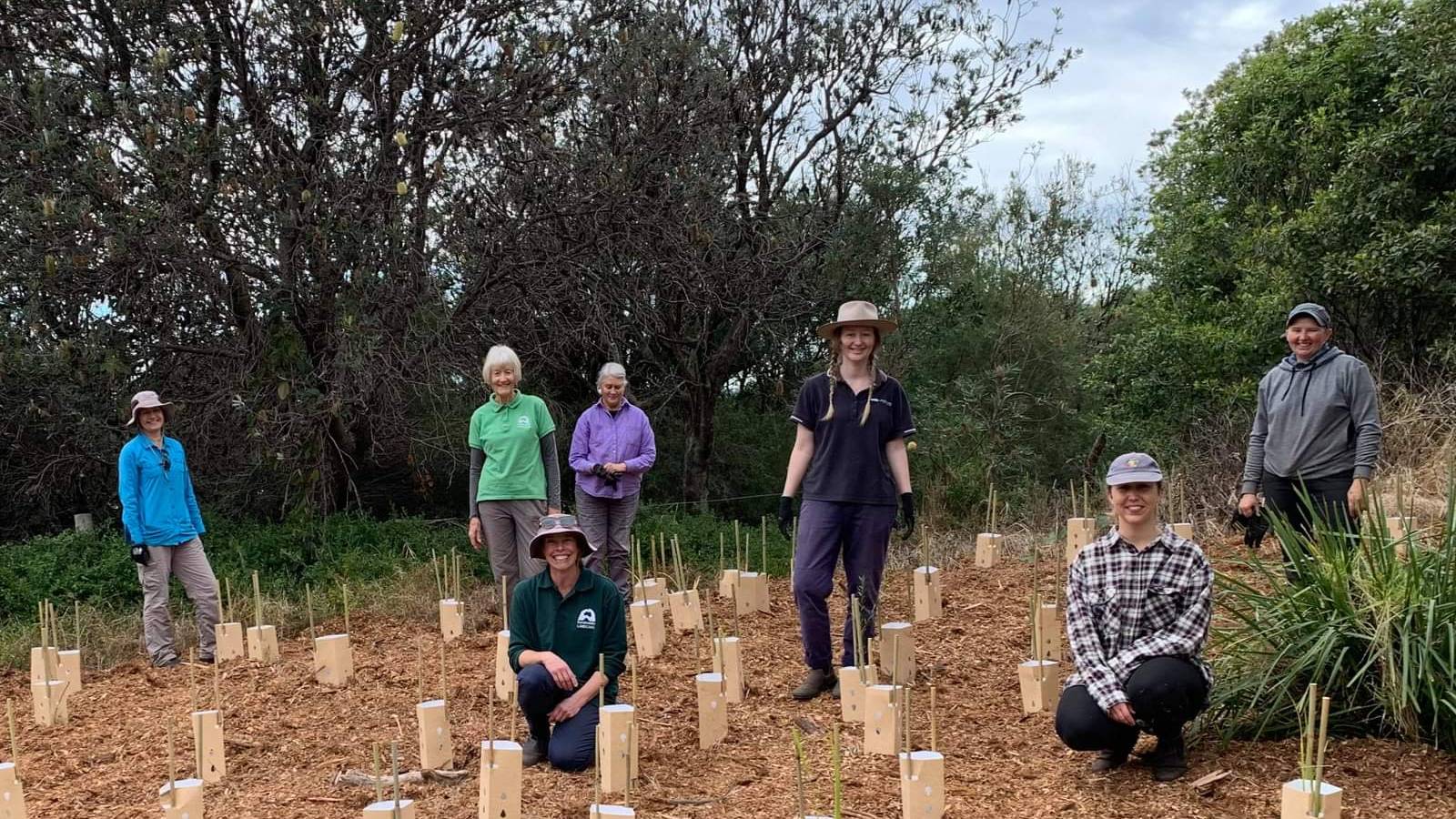 Group of Landcare volunteers standing among newly planted plants