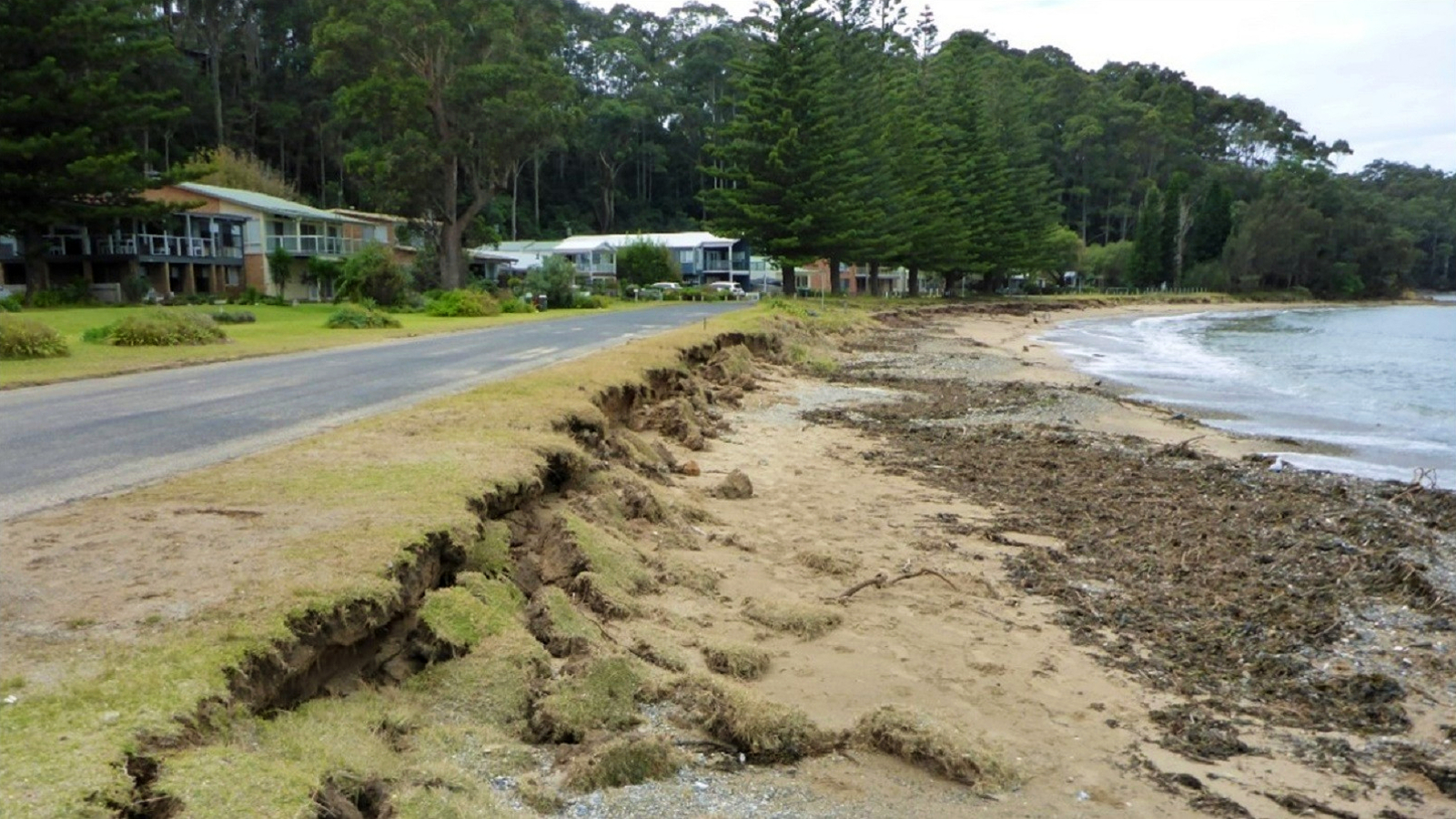 Image An eroded grassed area lies between a sealed road and the sea with beach houses in the background.