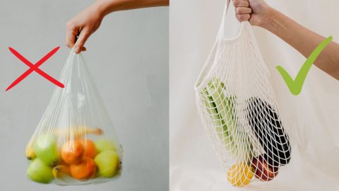 fruit in a plastic bag next to fruit in a cotton bag