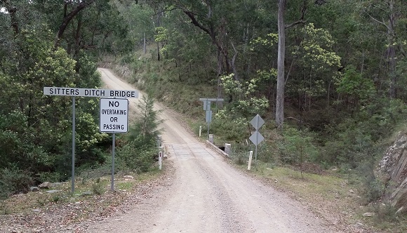 Image A short timber bridge sits amid the forest