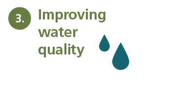 Improving water quality