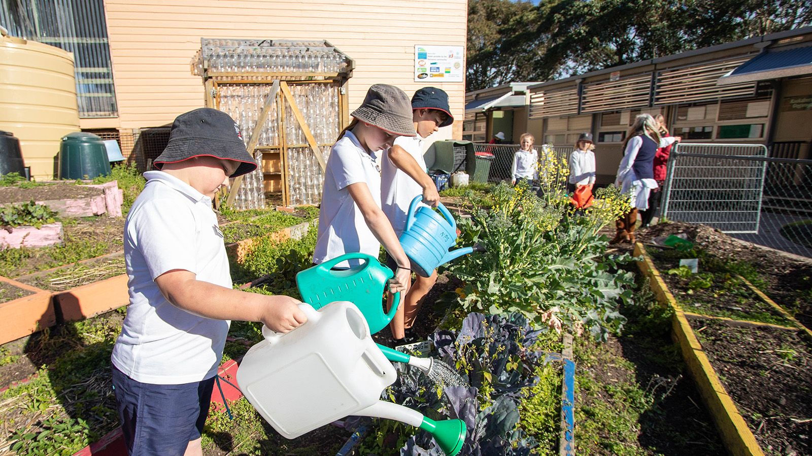 School students using watering cans on a garden bed banner image