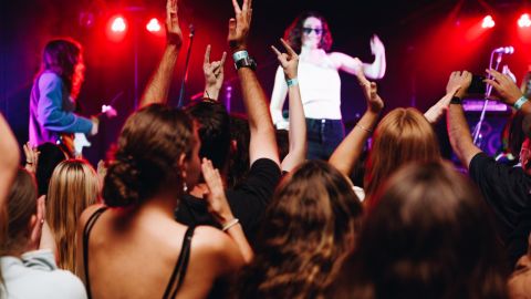 Overhead photograph of a live concert with members of the crowds hands in the air.