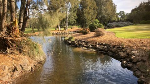 A  creek winds through a golf course. 